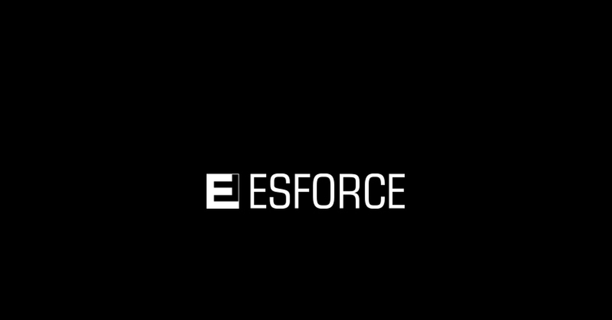 ESforce Holding: итоги 2019 года