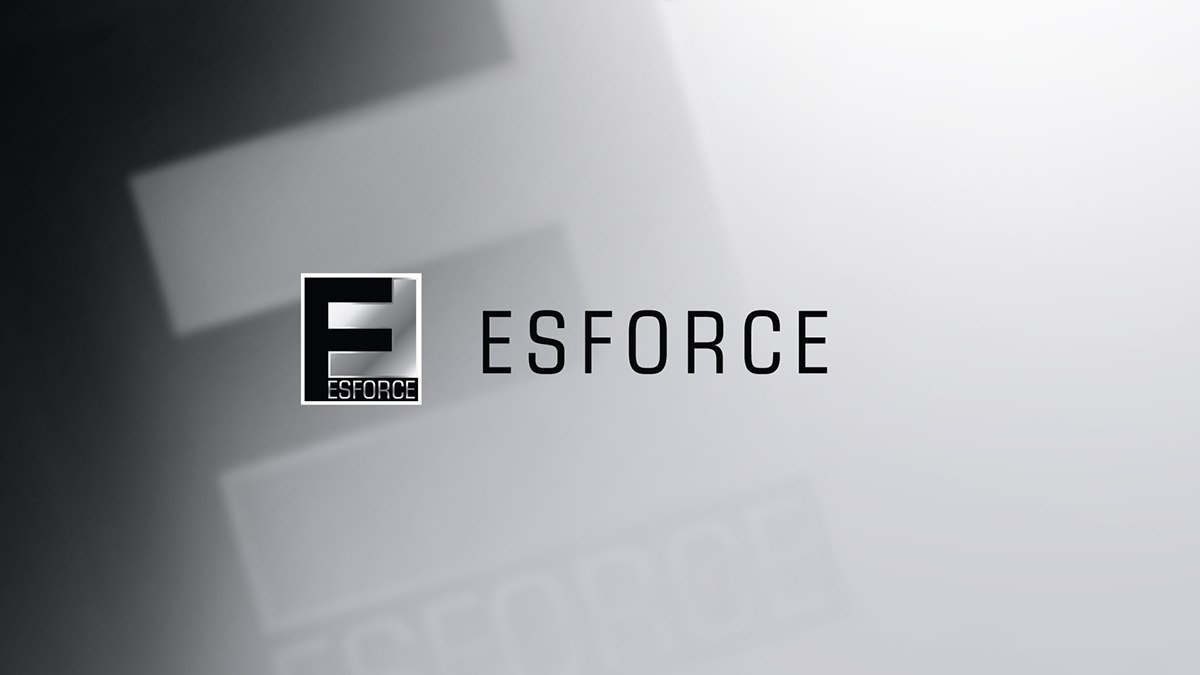 ESforce Holding